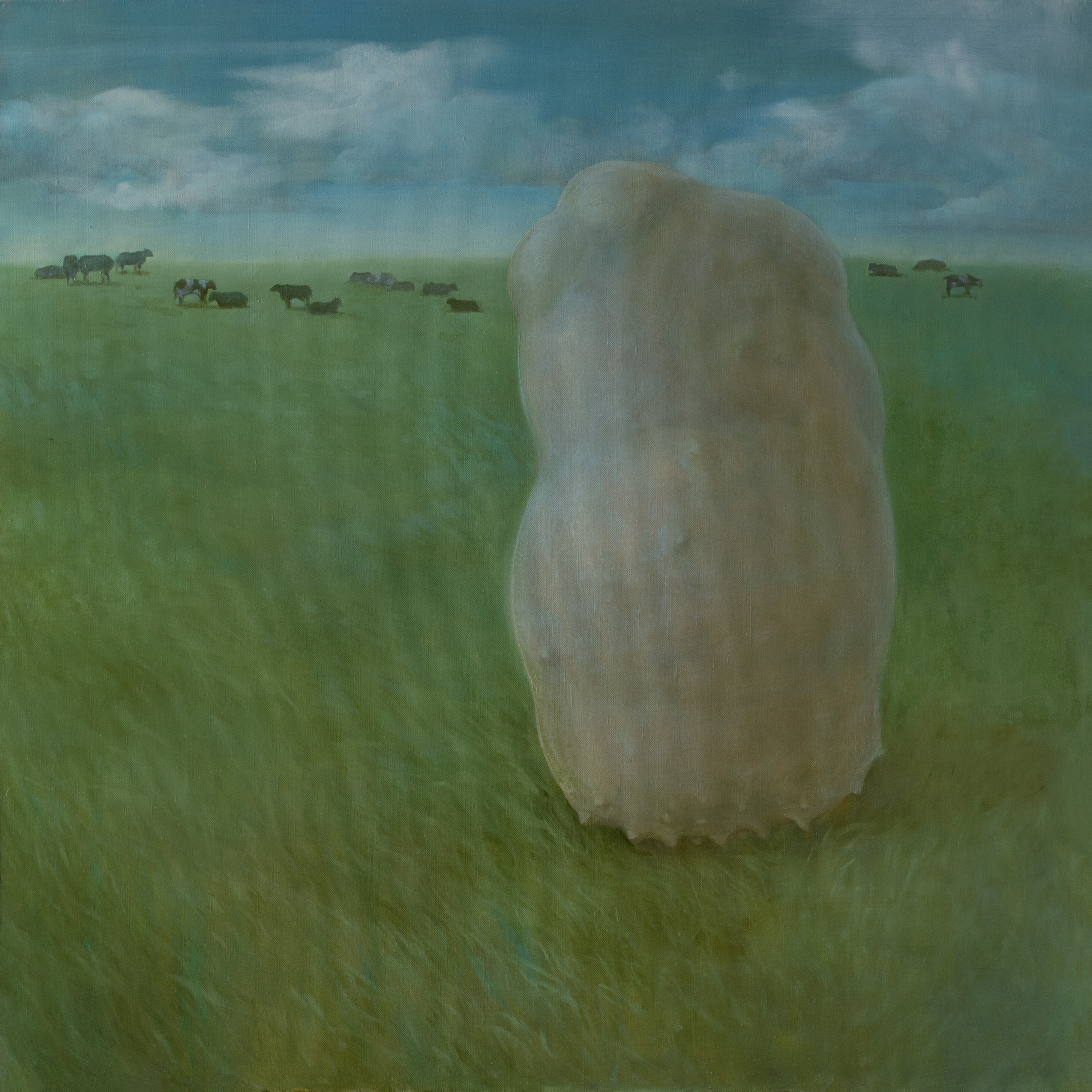 Посмотрите, какие сегодня облака